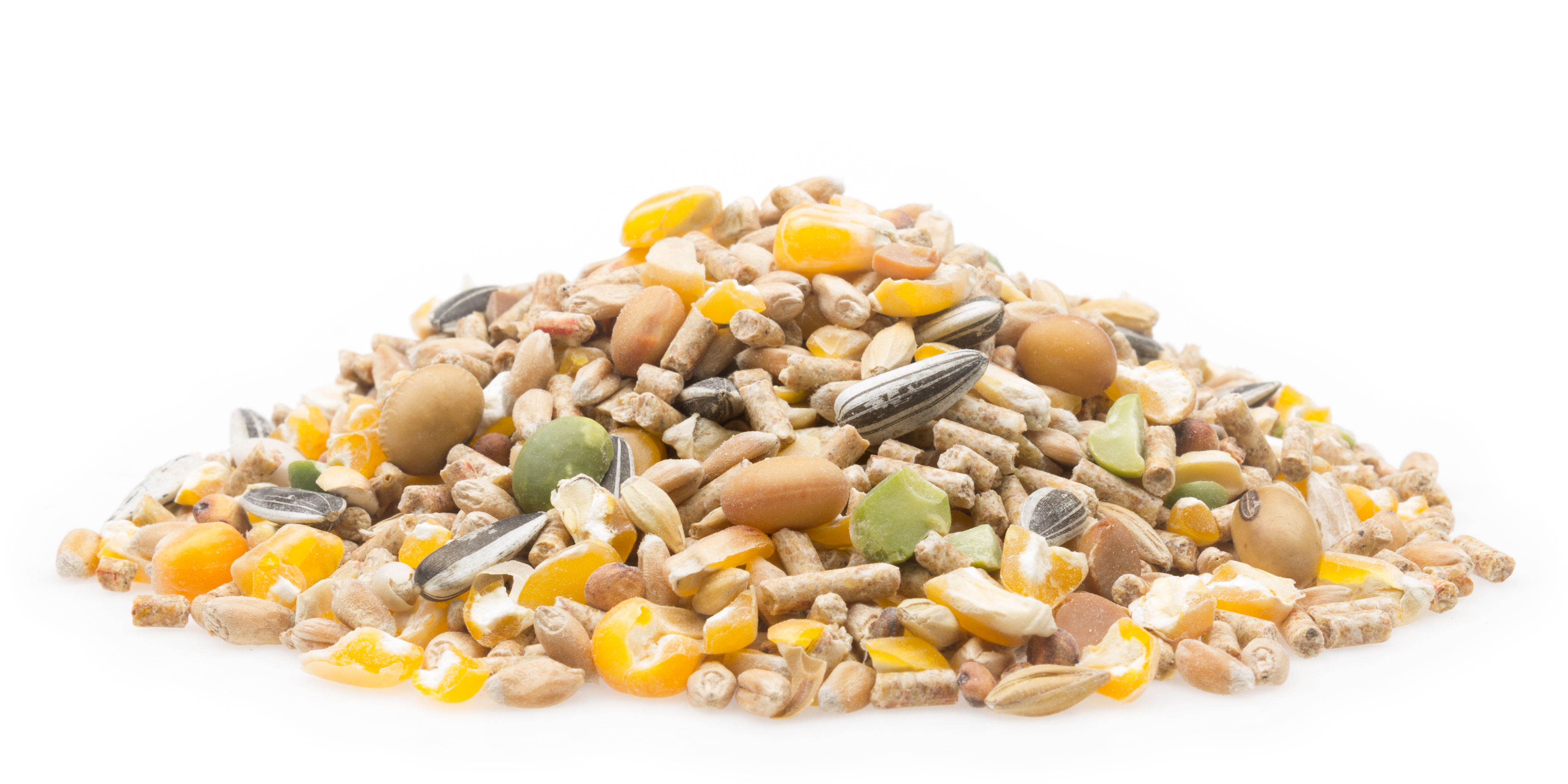 mifuma-rassegefluegelfutter-wellness-legemischung-premium