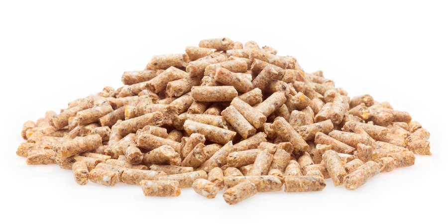 Junghennen Premium Pellet