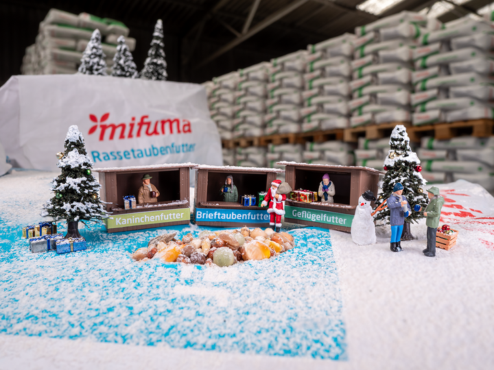 [Translate to French:] Little Mifuma Weihnachtsmarkt