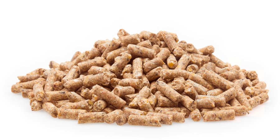 Zucht Premium Pellet