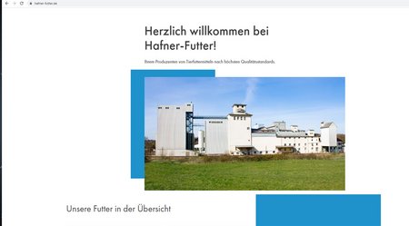 Abbildung der Hafner-Homepage